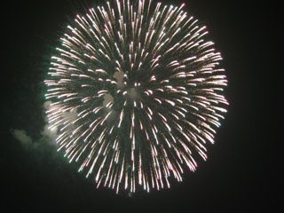 hanabi2007_15.jpg (22119 oCg)