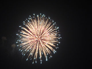 hanabi2007_29.jpg (14495 oCg)